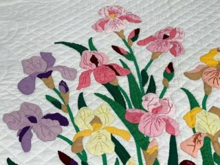 Summer Iris Vintage APPLIQUE Flowers Quilt Fancy Scallops 2