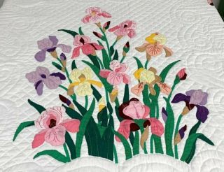 Summer Iris Vintage APPLIQUE Flowers Quilt Fancy Scallops 3