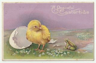 Green Frog Watching Chick Stand By Egg Shell Series 812 A Easter Postcard 1924