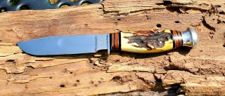 Case Xx Stag Fixed Blade " Carson Stamp "