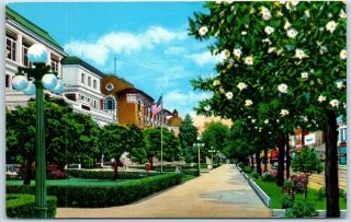 Hot Springs,  Arkansas Postcard " Bath Houses Row & Magnolia Promenade " Curteich
