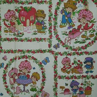 Vintage 1980 Strawberry Shortcake Twin Blanket 6 X 9 American Greetings Esmond
