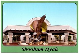 Skookum Hyak Postcard Seven Feathers Hotel Casino Canyonville Oregon Vintage