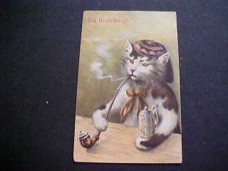 Cat Smoking Pipe Old Heidelberg 1911 Postcard