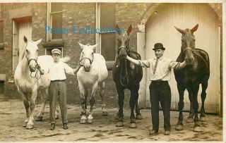 Ohio,  Oh,  Dover,  Livery Stable 1910 