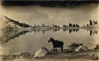 C1910 Rppc Scenic Western Us Horse Tethered By Alpine Lake Mirror Reflection