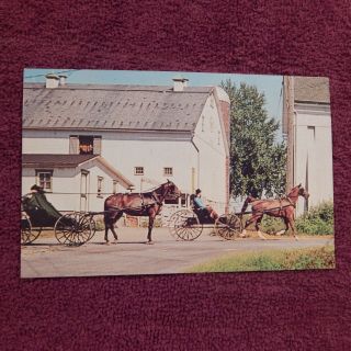 Vintage Postcard Greetings From " The Penna.  Dutch Country ",  Amish Boys,  Buggy