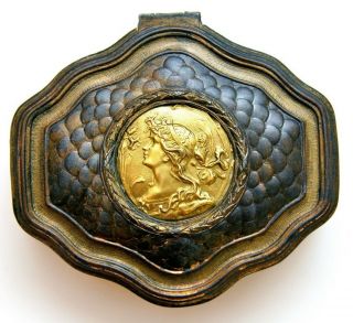 1900 Antique Jewelry Box Art Nouveau French Cameo Jewelry Box Dragon Skin Pewter