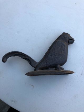 Antique Cast Iron Parrot Figural Nut Cracker -