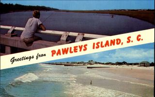 Greetings From Pawleys Island South Carolina Fishing Pier Beach 1960s
