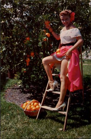 Risque Florida Oranges Citrus Advertising Sexy Woman Legs Lifting Skirt Heels