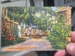 Black American Postcard,  A Typical Lane Scene,  At Key West,  Fl