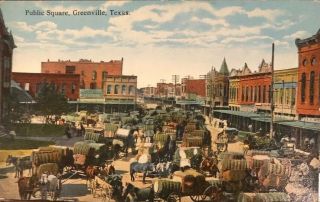 Public Square Greenville Texas Postcard Early 1900s Tx Covered Wagons