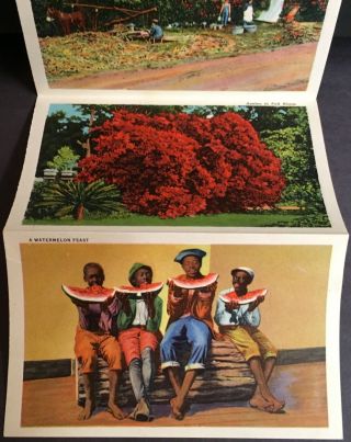 Black Americana Postcard Folder DIXIELAND 18 Different Views & Song Dixie Land 5