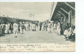 Printed Postcard Of The Uganda Railway Terminus Mombasa In