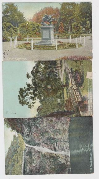 3 Old Postcards National Park Botanic Gardens Adelaide South Australia C1910