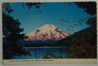 Vintage Washington Postcard Mount St.  Helens And Spirit Lake Wa.