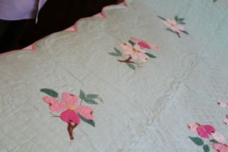 Vintage Gorgeous Hand Stitched Cotton Appliqued Quilt Flowers on Green 78x92 6