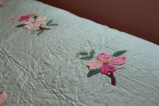 Vintage Gorgeous Hand Stitched Cotton Appliqued Quilt Flowers on Green 78x92 7