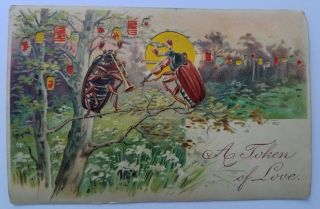 1906 Htl Postcard - Crickets Play Music - Bug Insect Lightening - Vintage Antique