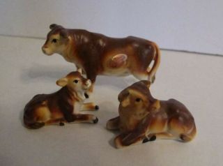 Vintage Set Of 3 Bone China Shiken Cows/calf W/original Label