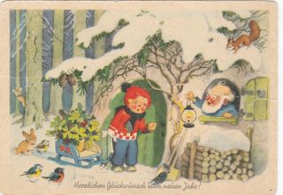 1950s Fritz Baumgarten Year Boy Dwarf Birds Squirrels Old German Postcard
