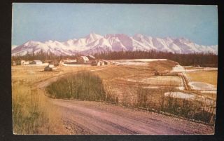 Matanuska,  Alaska.  C.  1965 Pc.  Famous Agricultural Area Gov 