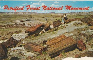 Arizona Postcard - " The Famous.  Petrified Forest National Monument "
