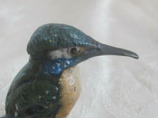 Antique Cold Painted Vienna Bronze Bird EX KINGFISHER? 2