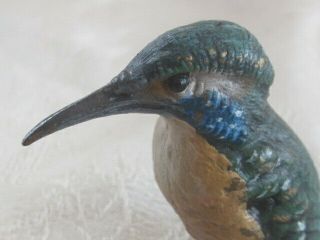Antique Cold Painted Vienna Bronze Bird EX KINGFISHER? 4