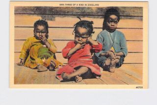 Antique Postcard Black Americana Three Of A Kind In Dixieland 3