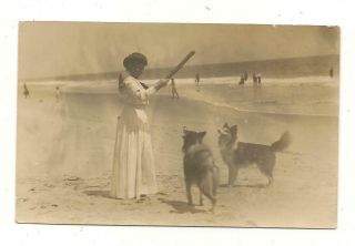 Rppc Rehoboth Delaware De Beach Scene Collie Dogs Circa 1910