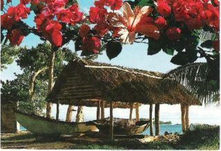 Seychelles - Pirogues,  Boats - Photo Eden Postcard C.  1970s