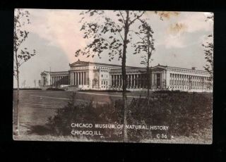 Circa 1930 Chicago Museum Of Natural History Real Photo Post Card