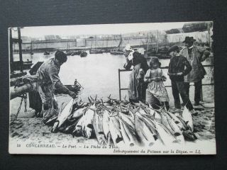Concarneau,  Brittany,  Tuna Fishing,  Fishermen - Louis Levy Ll No 54 (c1910)