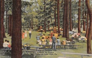 C21 - 1901,  Picnic Tables,  Conneaut Lake Park Pa.