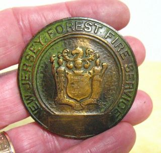 Vintage Jersey Forest Fire Service Pin Copper