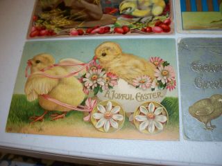 6 Vintage antique Postcards Easter chicks peeps 1910 1 cent stamps 3