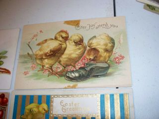 6 Vintage antique Postcards Easter chicks peeps 1910 1 cent stamps 5