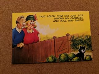 Vintage Cat Postcard.  Cat Humor.  Bamforth Cartoon Postcard.  Not Mailed.
