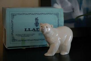 Lladro Attentive Polar Bear Figurine 1207.  W/original Box.