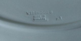 Wedgwood Blue Jasperware 6 - 7/8 