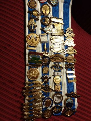 49 DAR pins on white n blue ribbon 12