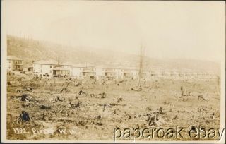 Ca1910 Pierce,  West Virginia Real Photo Postcard Showing Cleared Trees