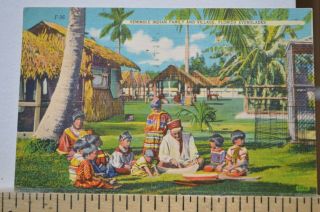 1952 Seminole Indian Family And Village - Florida Everglades Postcard