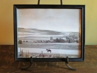Vintage Black & White Photograph Of Logan Valley - Oregon Or Utah 1950s Horse