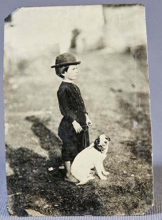 Sixth Plate Tintype Of Boy With His Dog Exposure &
