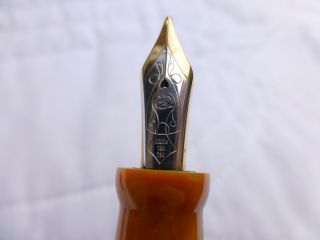 Delta Colossevm Demonstrator LE Fountain Pen - 18k Gold Nib Medium No 1432 5