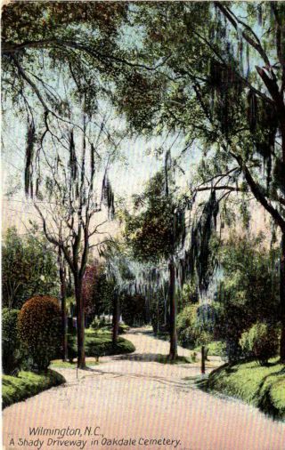 Wilmington,  North Carolina - A Shady Driveway In Oakdale Cemetery - C1907
