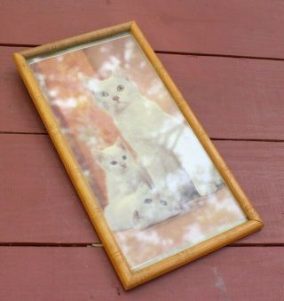 Vintage Wooden Bamboo Style Picture Frame White Cat Kitten Print Retro